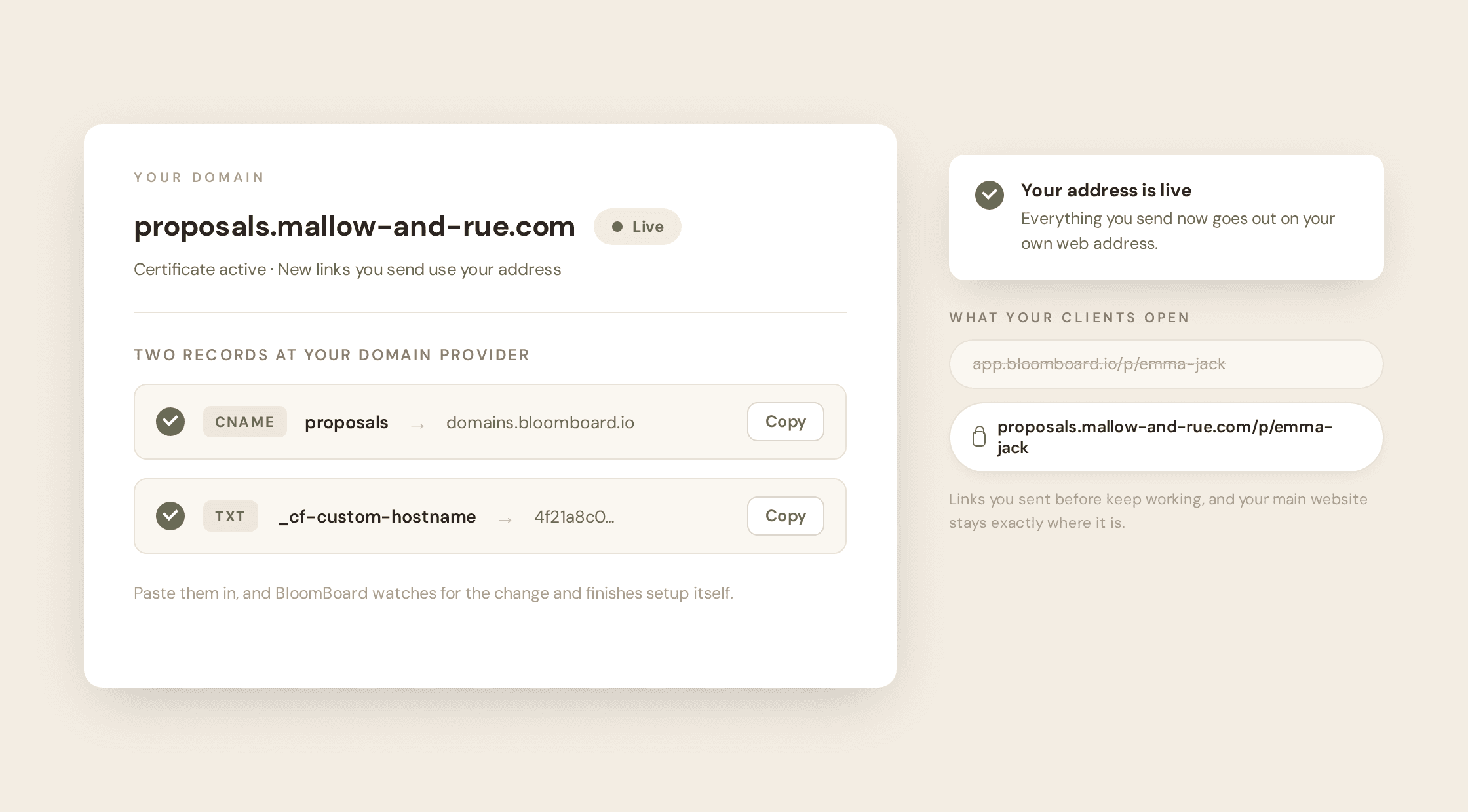The Your domain card showing proposals.mallow-and-rue.com live, with the two copy-paste records that set it up
